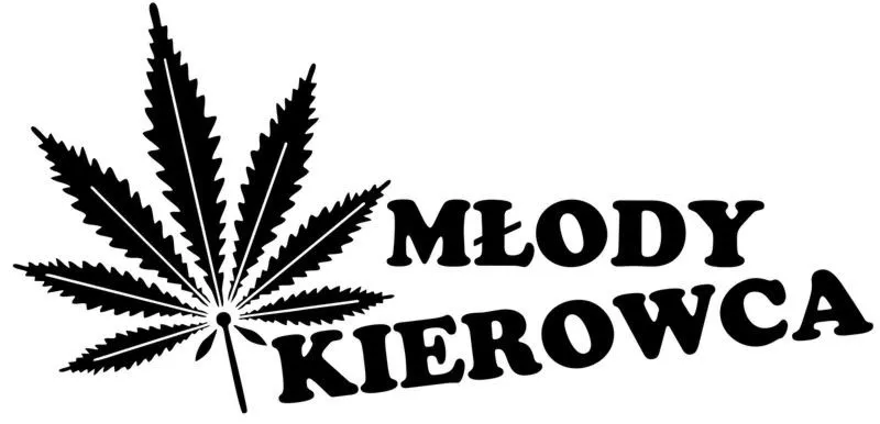 Na ile przed 18 można robić prawo jazdy: praktyczny przewodnik