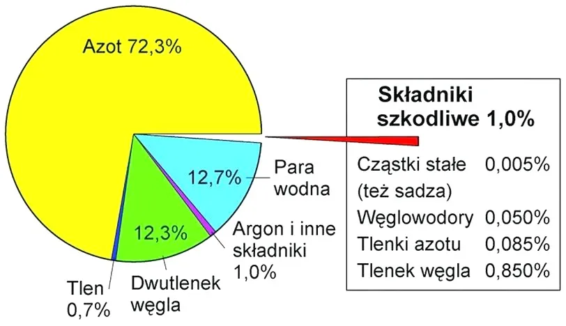 Spaliny silnika: jak rozpoznać sygnały i uniknąć kosztownych napraw